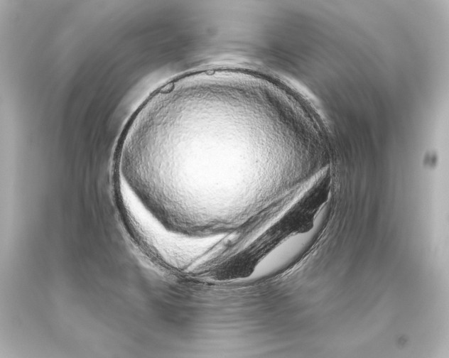 X0000093471423200711021222