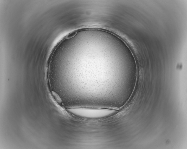 X0000093471424200711021222