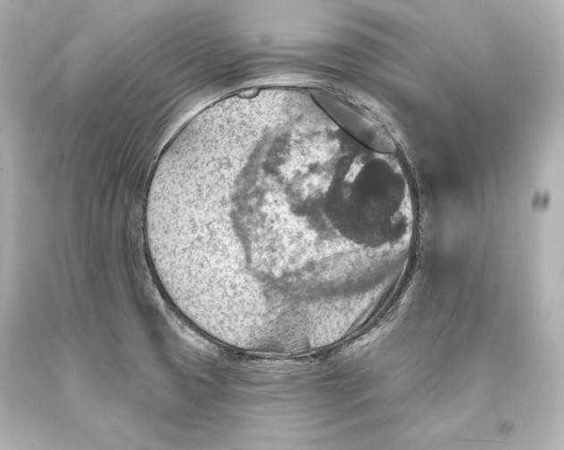 X0000093471425200711021222