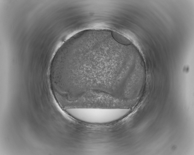 X0000093471429200711021222