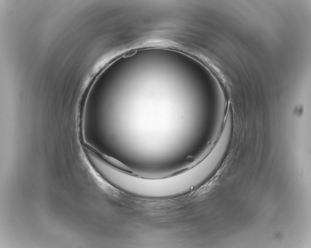 X0000093471430200711021222