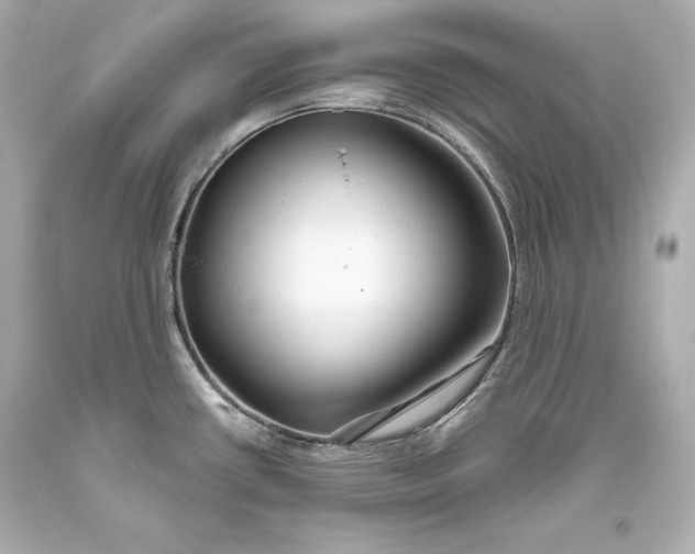 X0000093471434200711021222