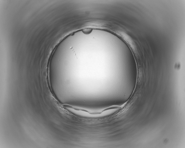 X0000093471435200711021222