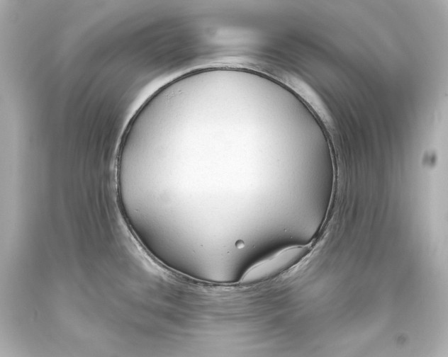 X0000093471436200711021222