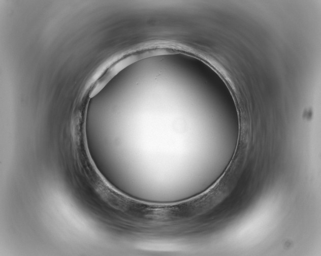 X0000093471438200711021222