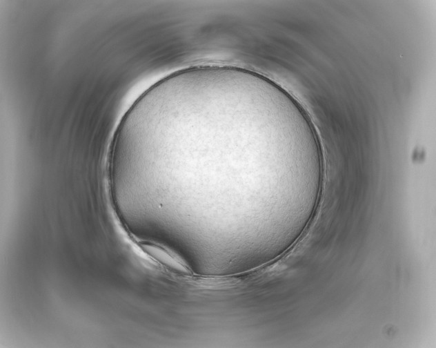 X0000093471440200711021222