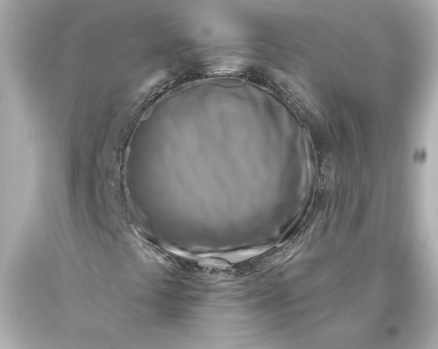 X0000093471441200711021221