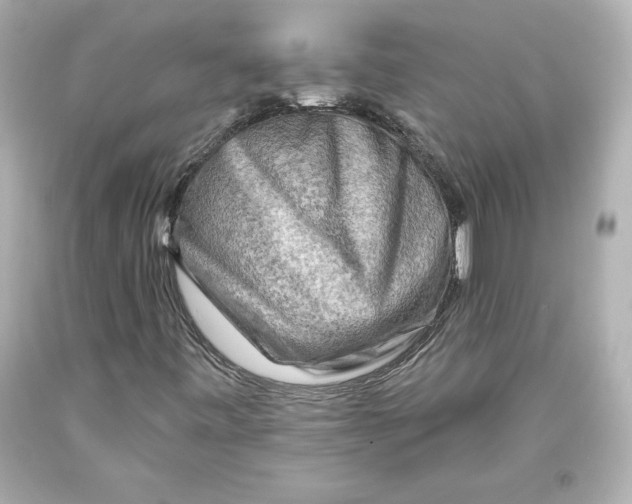 X0000093471443200711021221