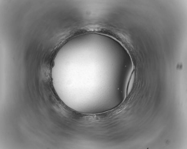 X0000093471444200711021221