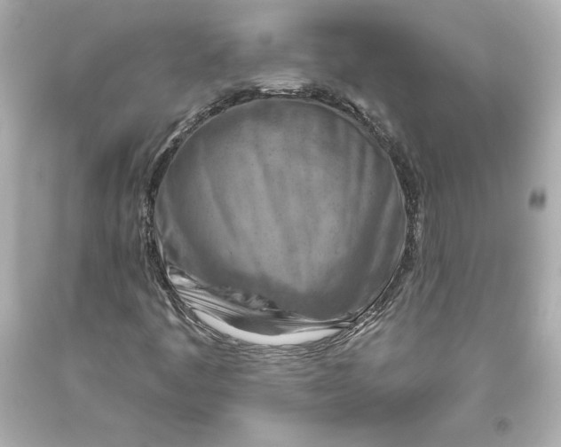 X0000093471445200711021221