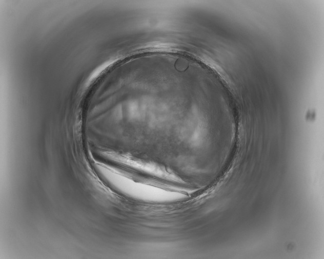 X0000093471450200711021221