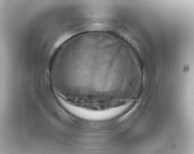 X0000093471453200711021221