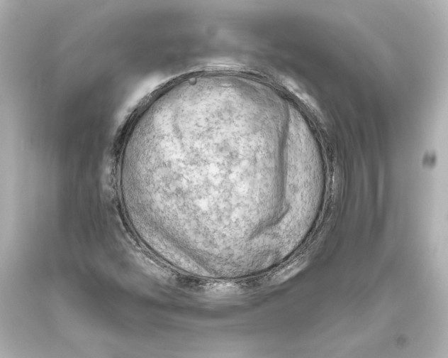 X0000093471454200711021221