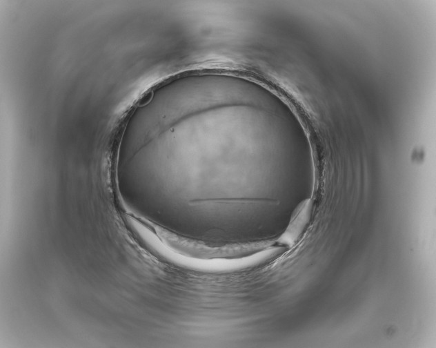 X0000093471455200711021221