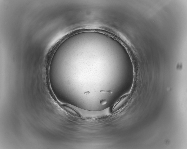 X0000093471456200711021221