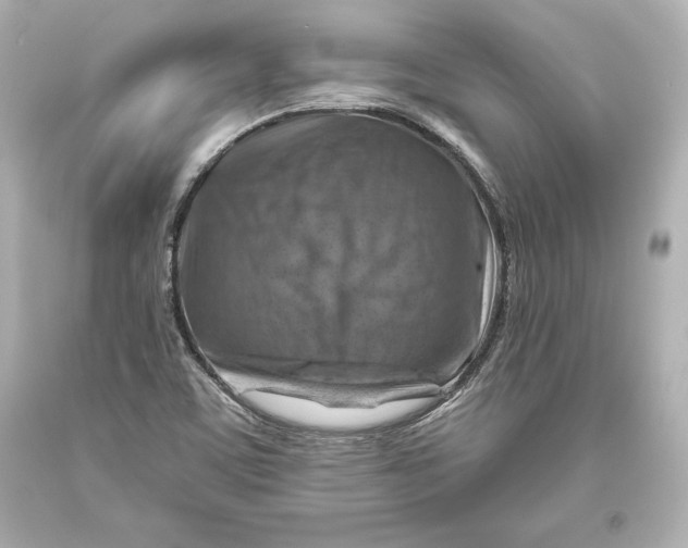 X0000093471459200711021221