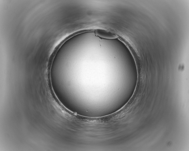 X0000093471460200711021221