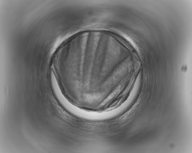 X0000093471461200711021221