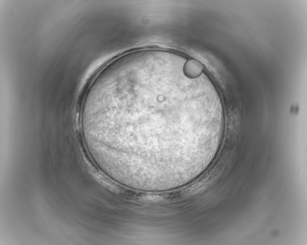 X0000093471462200711021221