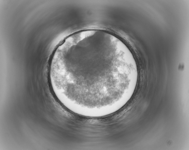 X0000093471463200711021221