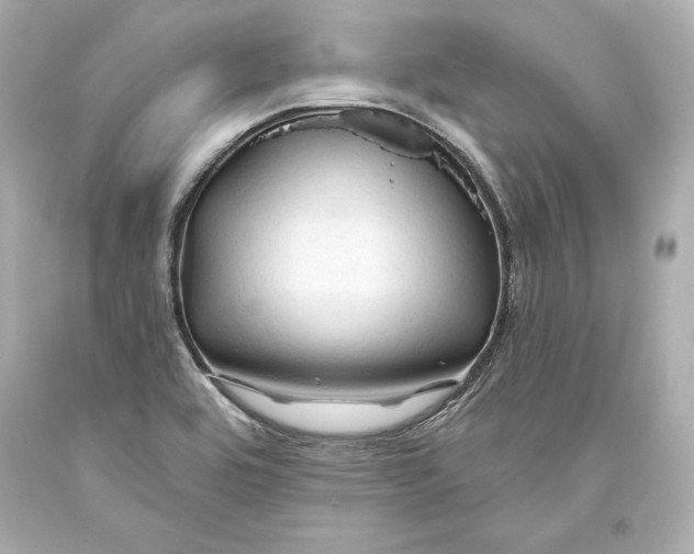 X0000093471464200711021221