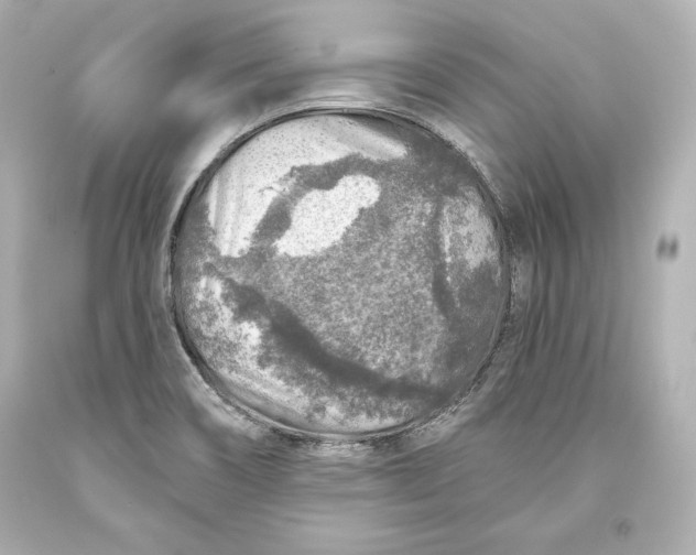 X0000093471466200711021221