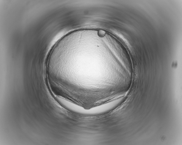 X0000093471467200711021221