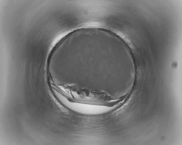 X0000093471469200711021221