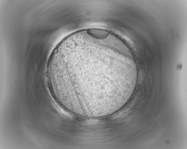 X0000093471470200711021221