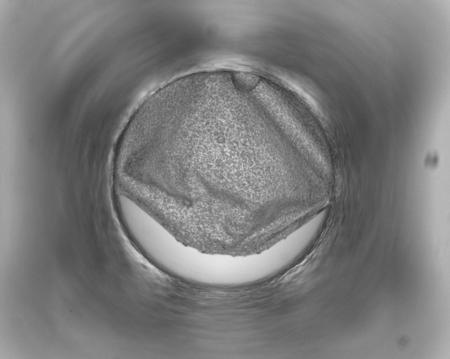 X0000093471471200711021221