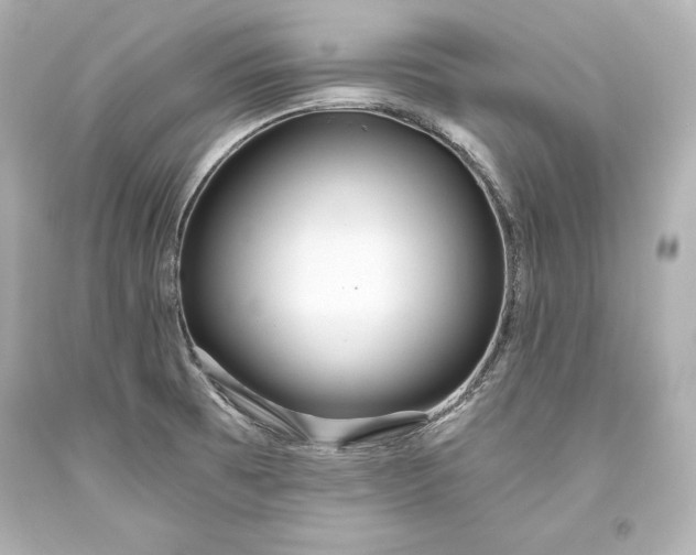 X0000093471473200711021221