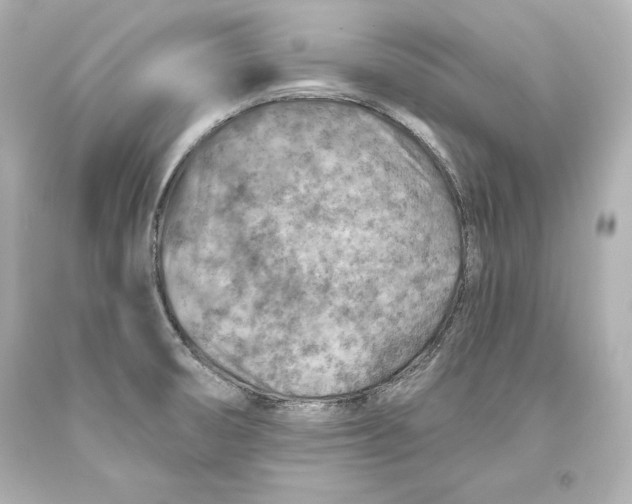 X0000093471474200711021221