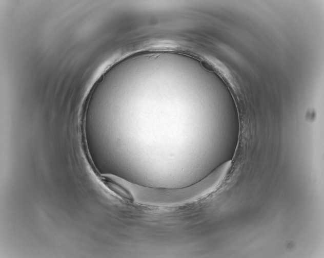 X0000093471475200711021221