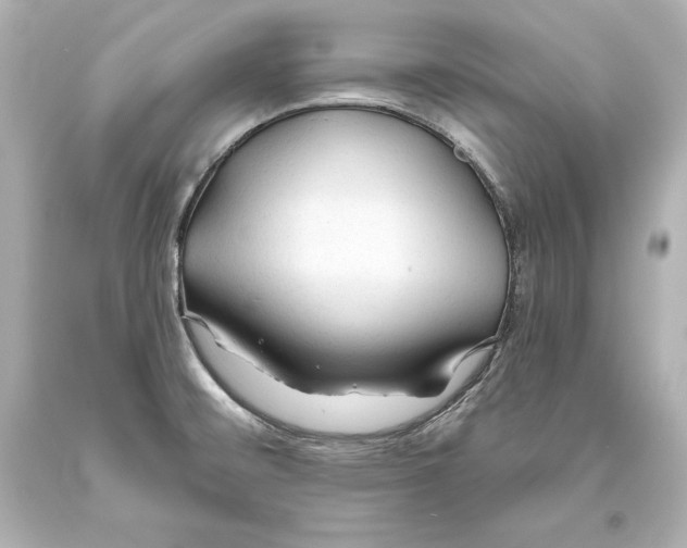 X0000093471476200711021221