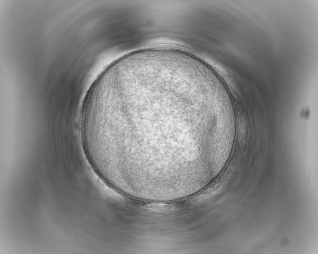 X0000093471478200711021221