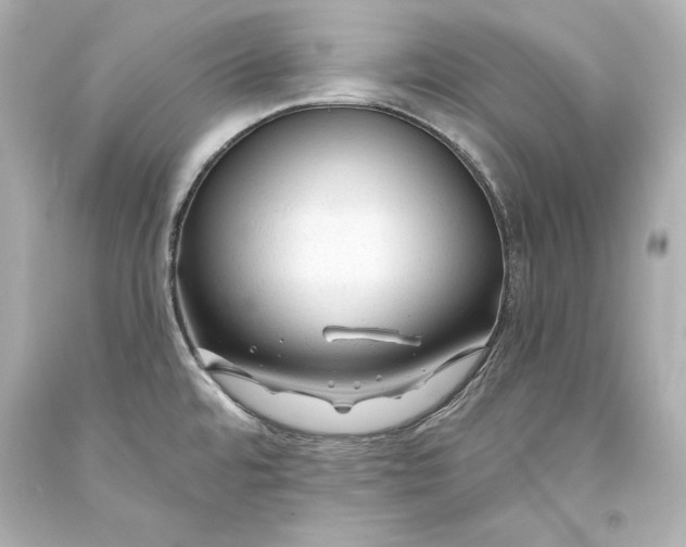 X0000093471480200711021221