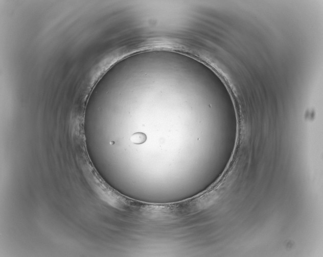 X0000093471481200711021221