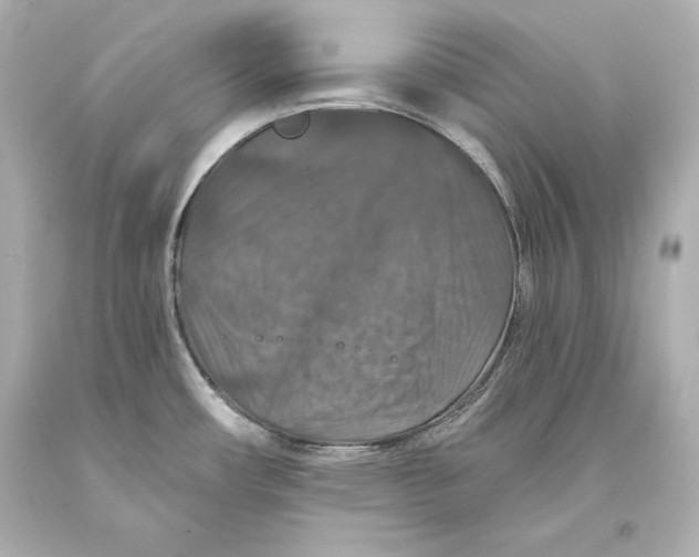 X0000093471482200711021221