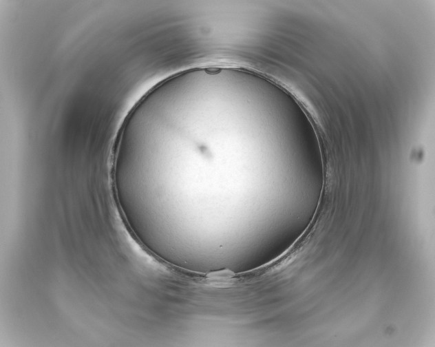 X0000093471484200711021221