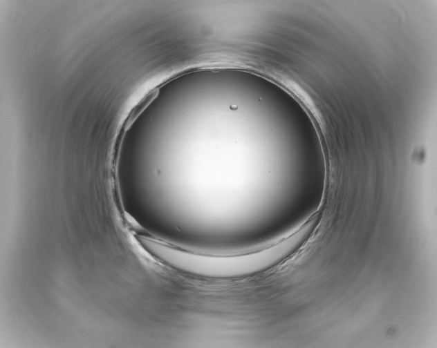 X0000093471485200711021221