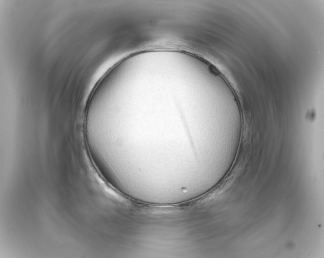 X0000093471486200711021221