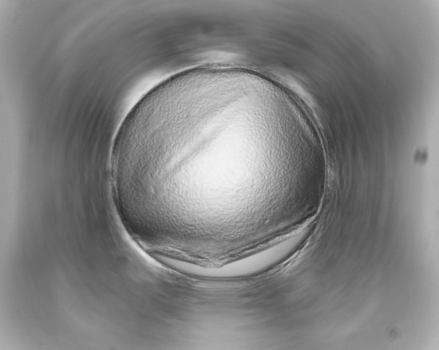 X0000093471487200711021221