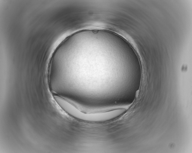 X0000093471488200711021220