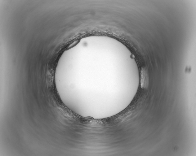 X0000093471491200711021220