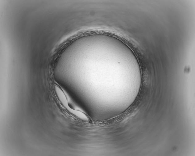 X0000093471494200711021220