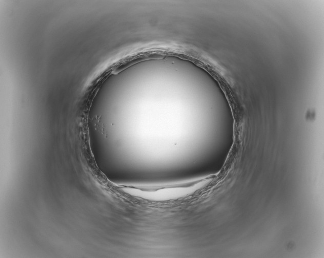 X0000093471496200711021220