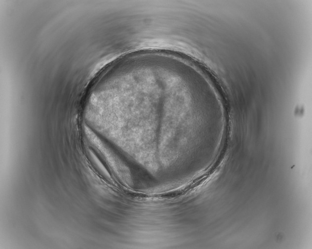 X0000093471497200711021220