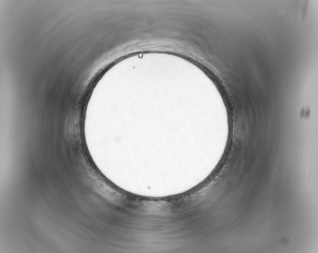 X0000093471498200711021220