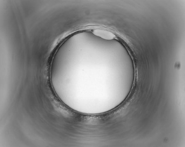 X0000093471501200711021220