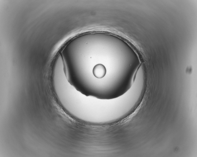 X0000093471502200711021220